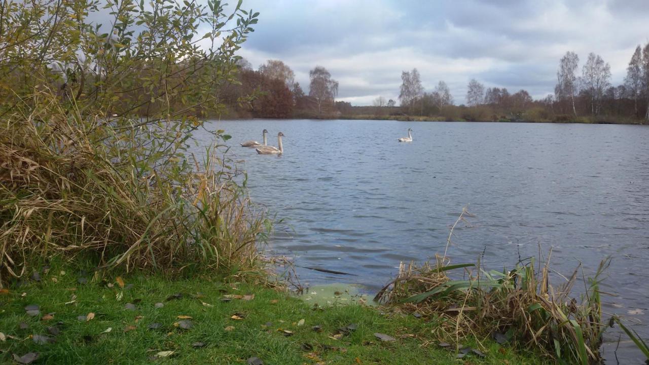 Wohnung Am Wald Witzeeze Bagian luar foto